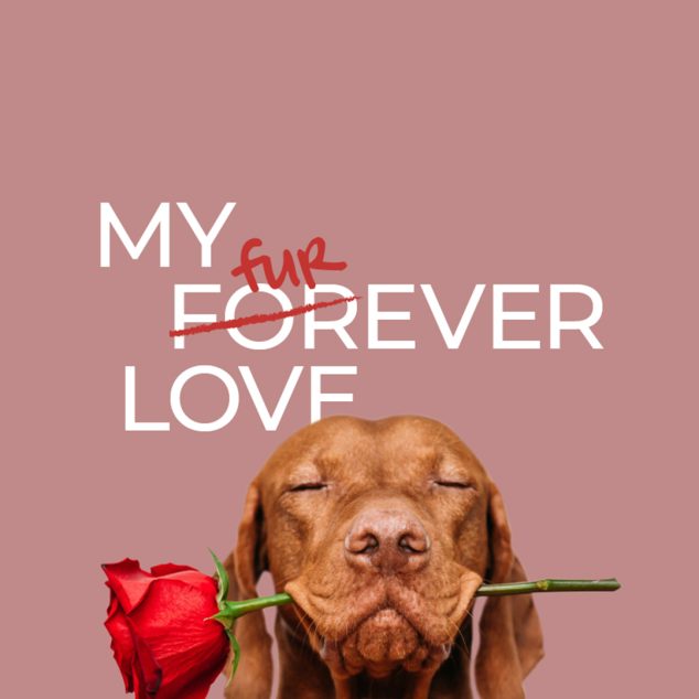 My Furr-ever love - Valentine's CSR Campaign with Regent Arcade